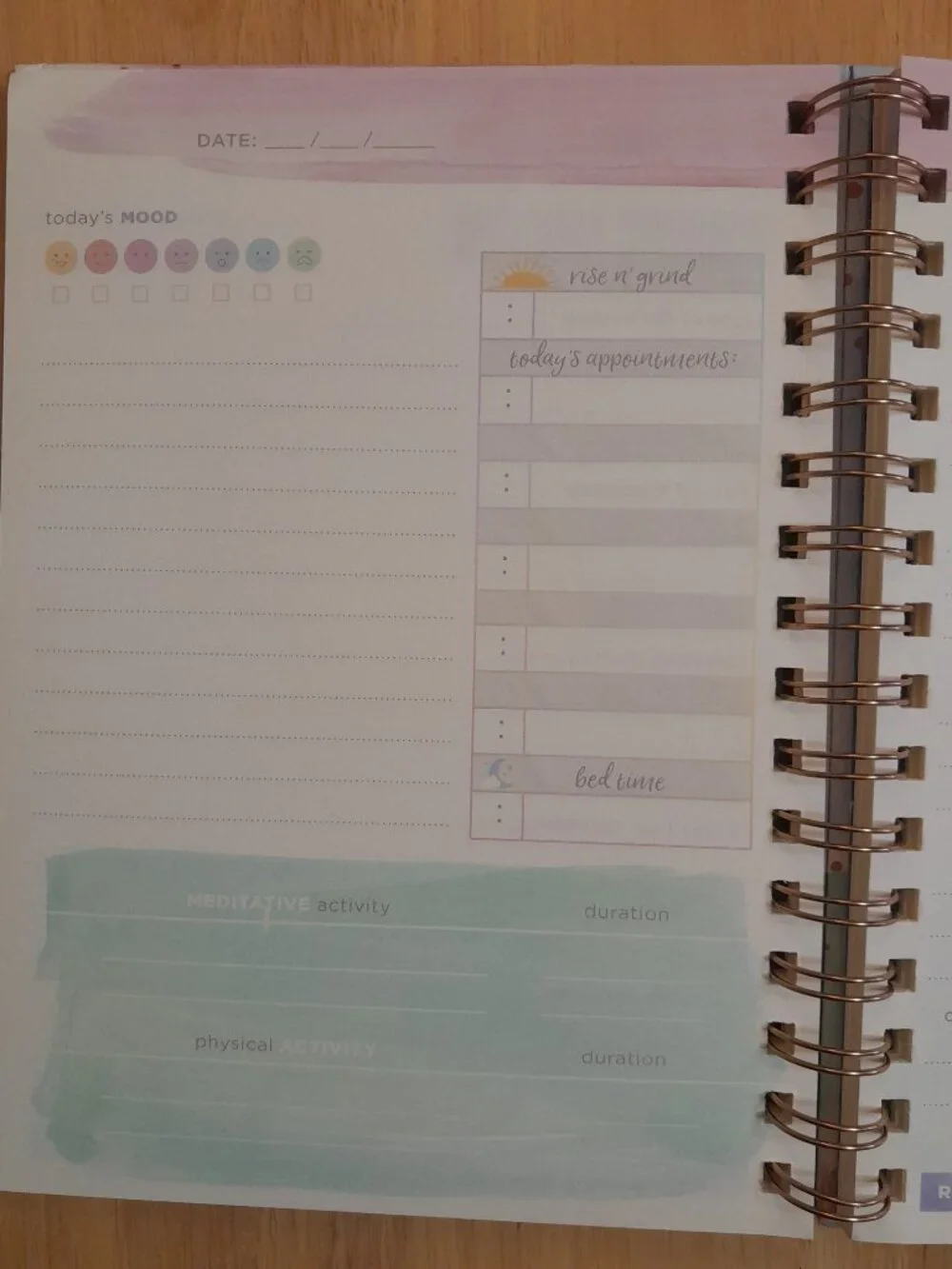 Wellness Journal by Clementine Paper Inc